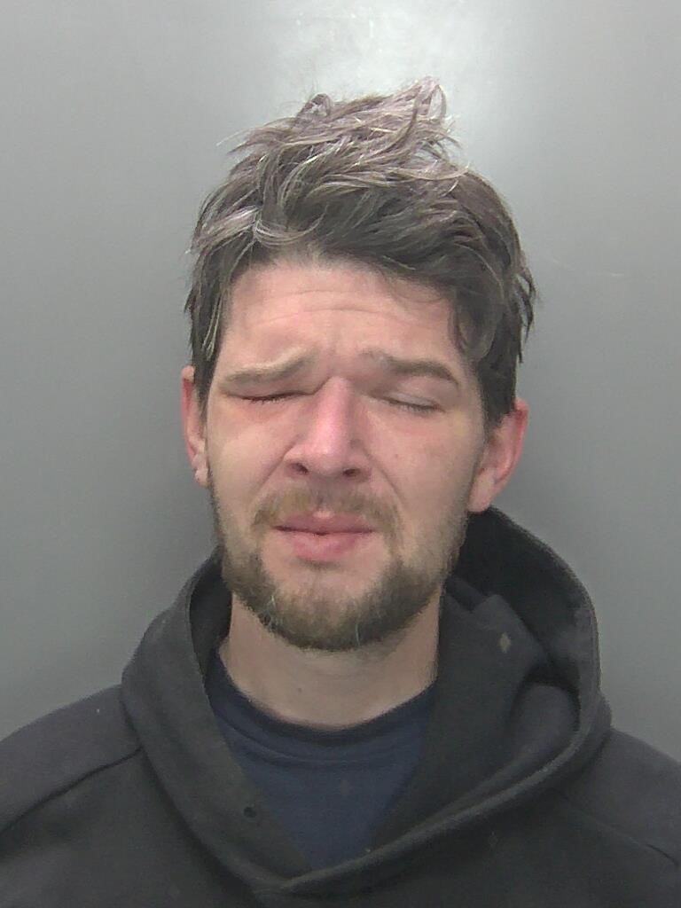 A young man wearing a black hoody with brown hair